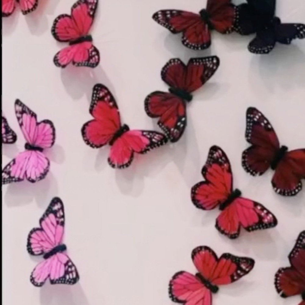 Meet your Posher, Schuyler